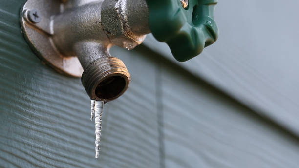 Best Local Plumber Services  in Utica, MI